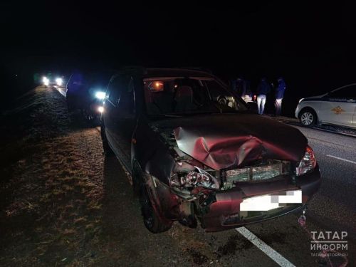 На трассе в Татарстане «Лада Калина» сбила медведя