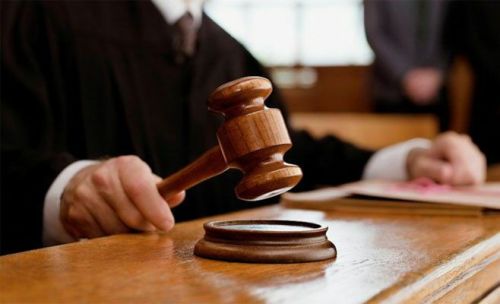 Осудили мужчину, который убил нескольких щенков в Пестречинском районе