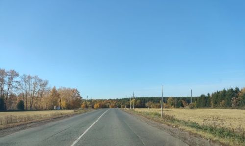 Новая неделя в Пестречинском районе начнется с 11 градусов тепла