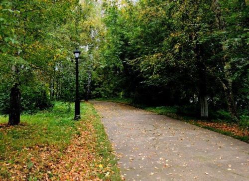 В Пестречинском районе прогнозируют умеренный дождь и до +17 градусов