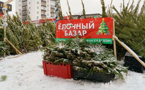 В Казани начали работать елочные базары