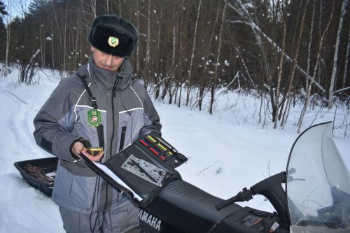 В Татарстане планируют увеличить выплаты молодым специалистам лесной отрасли