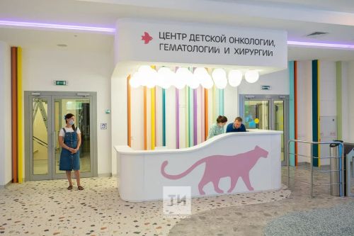 В центре онкогематологии ДРКБ состоится встреча детей с певицей Анной Asti