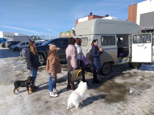 Пестречинцы смогут бесплатно привить своих домашних животных от бешенства