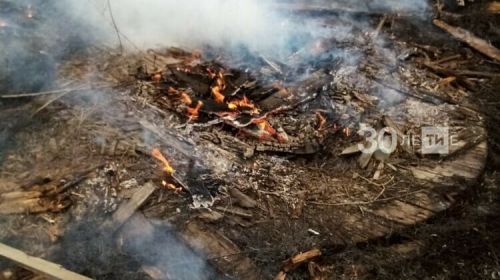 Пестречинцам напомнили о запрете на сжигание сухой травы и мусора