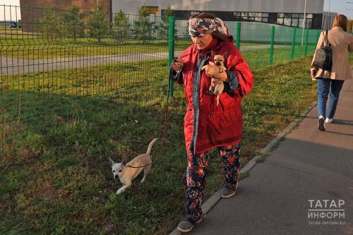 «За издевательства наказание вплоть до огня ада»: хазрат о содержании животных в доме