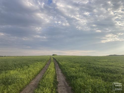 В последний день весны в Пестречинском районе ожидается до +29 градусов