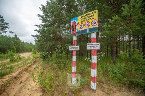 В Татарстане из-за жары ввели запрет на посещение лесов