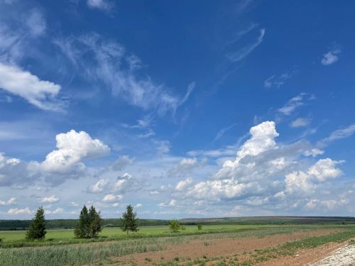 Сегодня в Пестречинском районе ожидается 31-градусная жара