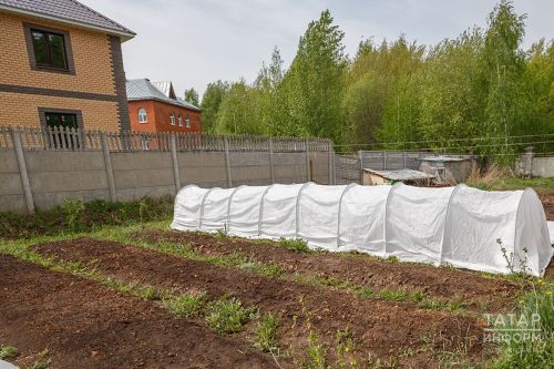 Календарь огородника: чем обработать теплицу осенью