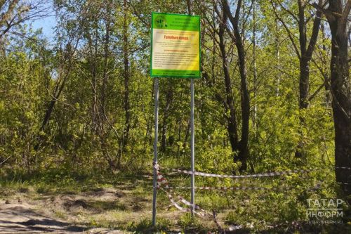 Минлесхоз РТ объяснил, почему леса не закроют для посещения этой осенью