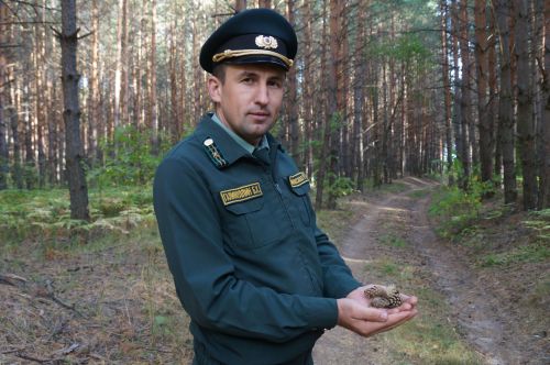 Пестречинские лесники отмечают сегодня профессиональный день
