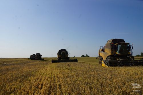 Уборочная страда в хозяйствах Пестречинского района подходит к концу