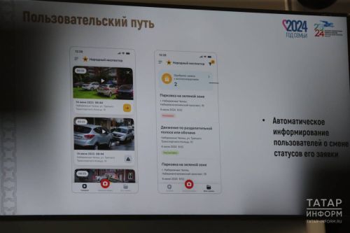 Как будут поступать выплаты за сообщения в «Народном инспекторе»