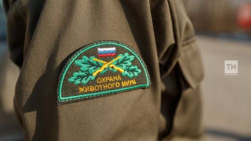 С 2025 года в России заработает новая информационная система в области охоты