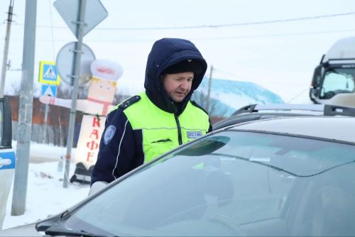 В Пестрецах за непристегнутые ремни оштрафовали  7 человек