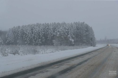 МЧС Татарстана напомнило о мерах безопасности во время тумана