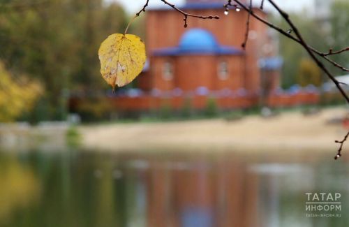 Дожди и порывистый ветер ожидаются в Пестречинском районе 12 октября