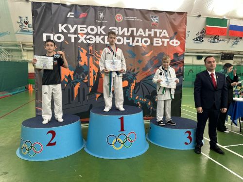 Пестречинские тхэквондисты выступили на соревнованиях в Казани