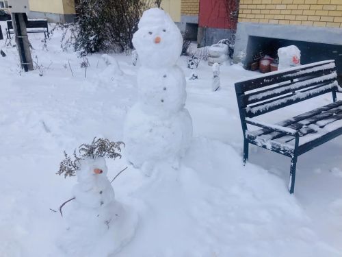 В Пестречинском районе ожидаются метели, штормовой ветер и до 14 градусов мороза