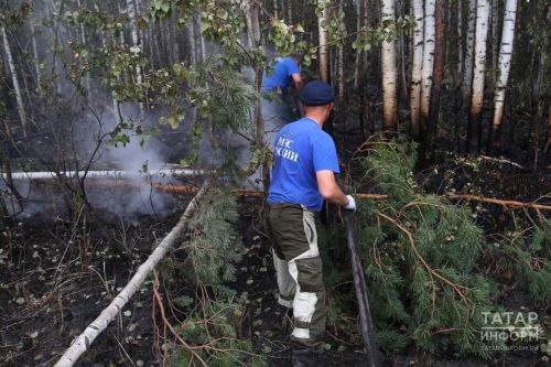 Названы месяцы, когда наиболее высок риск пожаров в лесах