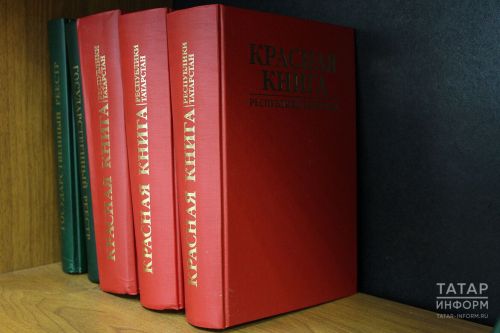 В Красную книгу Татарстана планируют включить новые виды птиц