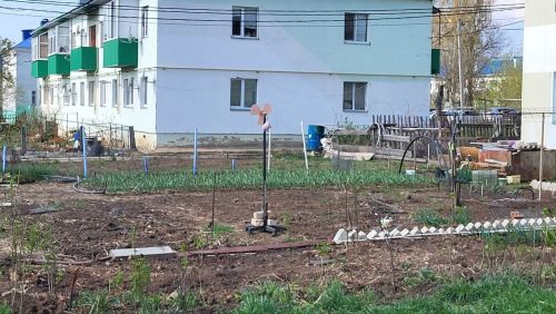 Жительница села Пестрецы пожаловалась на незаконные огороды
