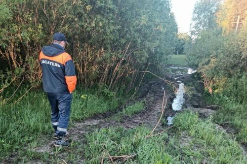 В Пестречинском районе спасатели нашли двух мужчин, которые заблудились в лесу