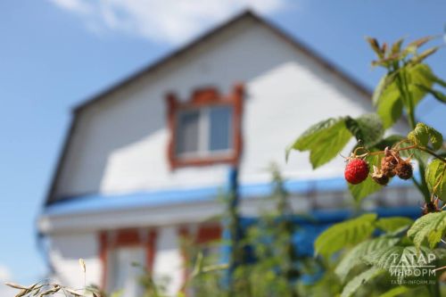 Как правильно полоть грядки и избавиться от сорняков в саду