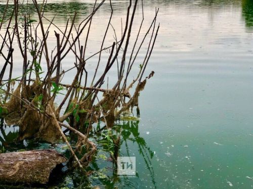 В Пестречинском районе компанию оштрафовали за загрязнение реки