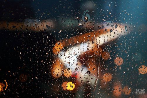 В Пестречинском районе 11 сентября ожидаются дожди и до +17 градусов