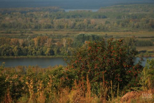 Температура в Пестречинском районе поднимется до +21 градуса