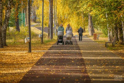 До +13 °C днем прогнозируют 30 сентября в Пестречинском районе