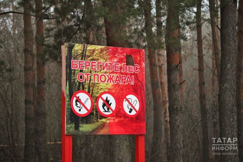 В Татарстане ввели штормовое предупреждение из-за высокой пожароопасности лесов