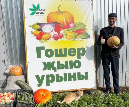 Имам-хатыб Шалинской мечети разъяснил правило гушр-садаки