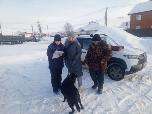 В Пестрецах можно будет привить и чипировать питомцев