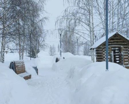 30 января в Пестречинском районе ожидается облачная погода с осадками и усилением ветра