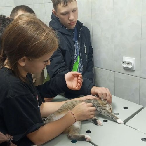 Воспитанники приюта «Шатлык» побывали в гостях у ветеринаров