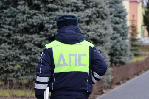 В Пестрецах наказали жителя Тюлячей за повторную пьяную езду