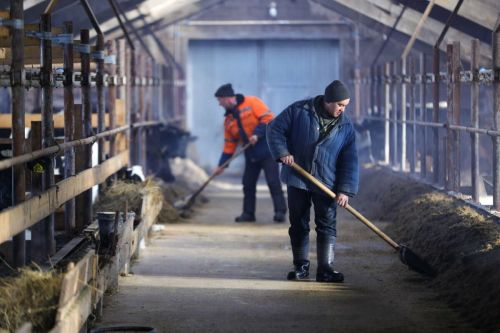 В Татарстане увеличили премии за достижения в агропромышленном комплексе