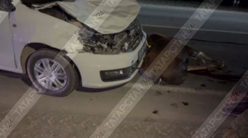 На трассе в Пестречинском районе автомобиль сбил лося