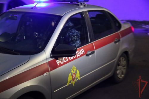 В Пестречинском районе подозреваемого в избиении задержали росгвардейцы