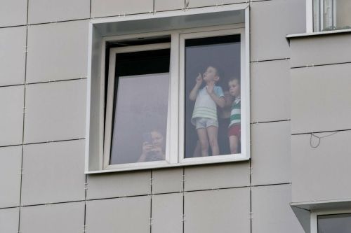 В России разработают ГОСТ на антимоскитные сетки