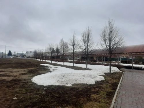 Дождь, туман и порывистый ветер ожидаются в Пестречинском районе