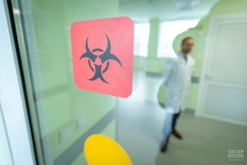 Смертность достигает 40%: что такое хантавирус и грозит ли миру новая пандемия?