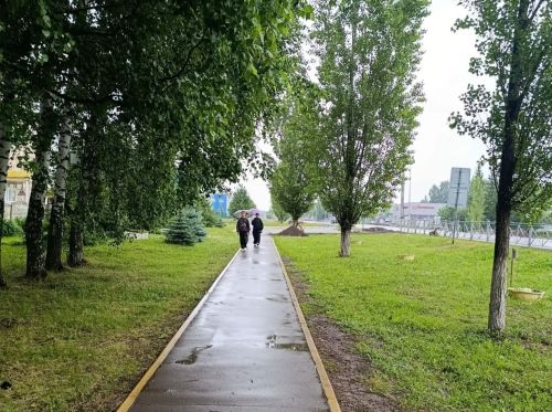 В Пестречинском районе 27 июня ожидается до +19 градусов