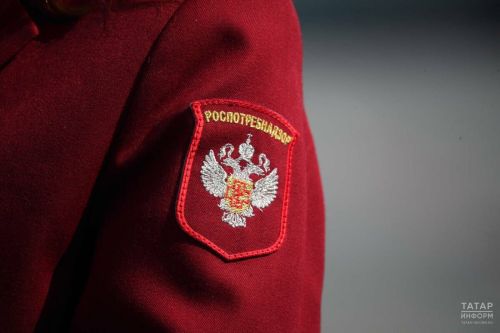 Роспотребнадзор опроверг информацию о «наноклещах» и дал советы по защите
