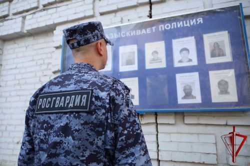 В Пестрецах задержали подозреваемого в краже, объявленного в федеральный розыск