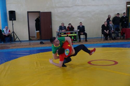 Республиканский турнир по национальной борьбе