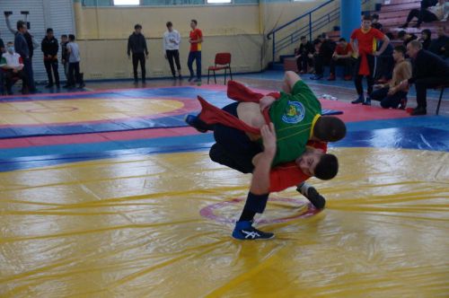 Республиканский турнир по национальной борьбе